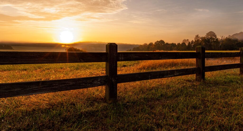 sunset over field